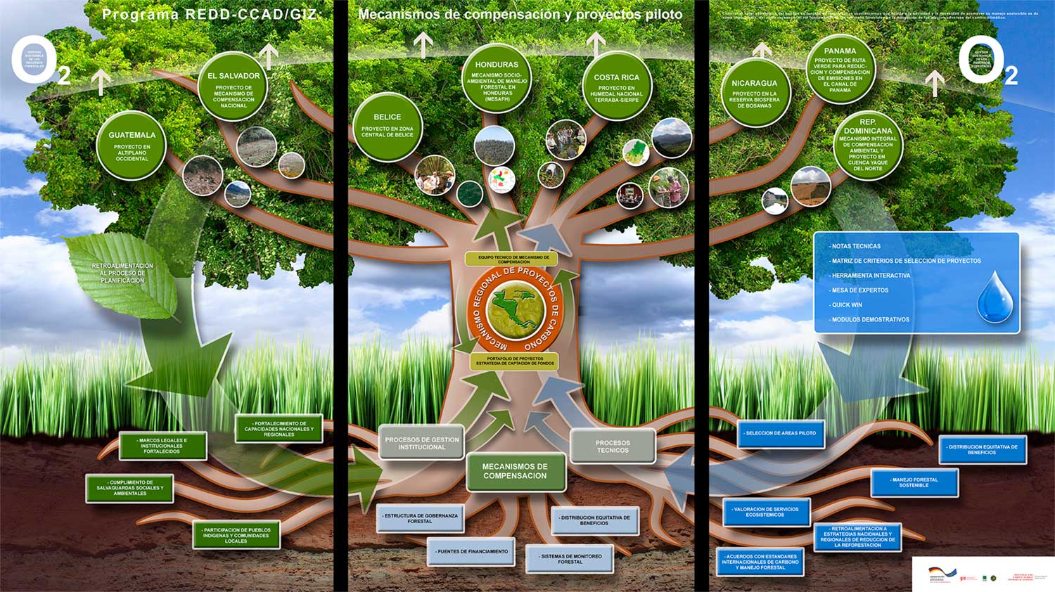 Afiche Proyectos de Giz, Mecanismos de compensación y proyectos pilotos, muestra en 3 partes el proceso asimilándolo a una imagen de un árbol.
