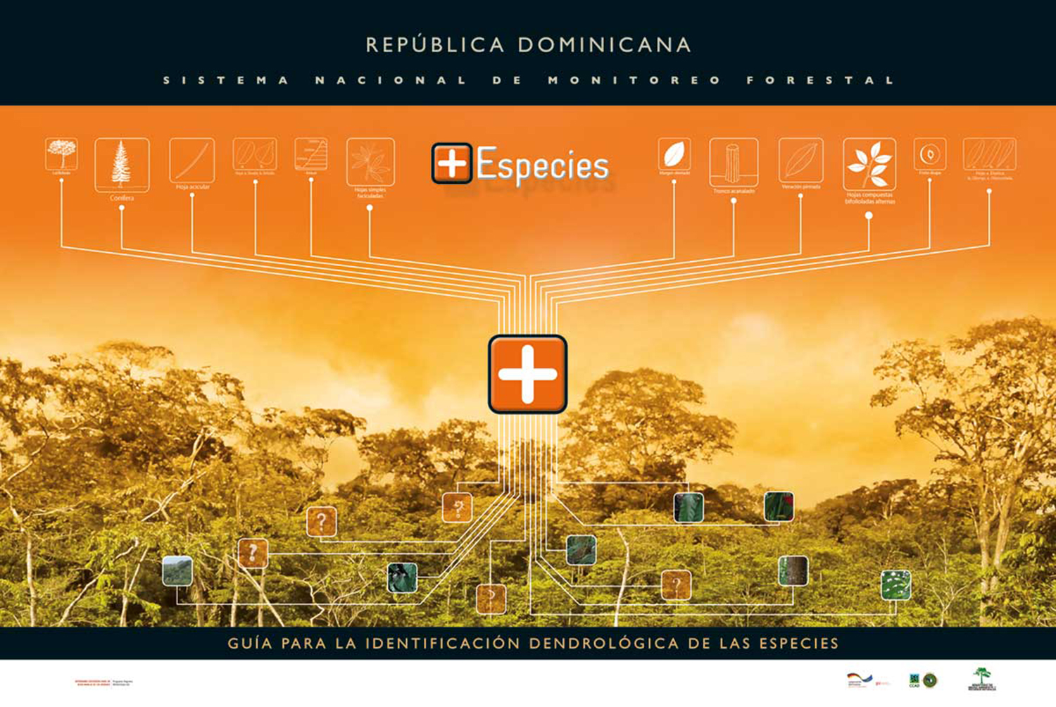 Afiche Guía para la identificación dendrológica de las especies de República Dominicana, muestra el sistema de Más Especies.
