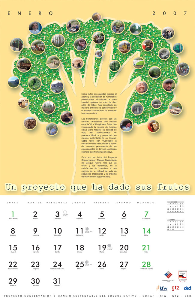 Imagen de Enero del calendario, muestra un dibujo de un árbol con un texto alusivo.