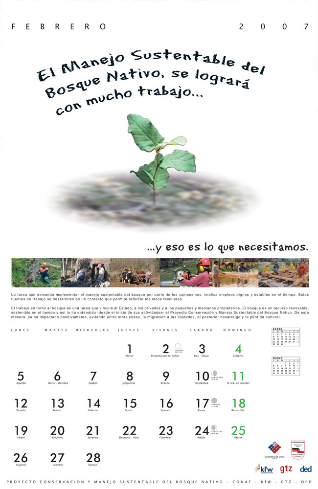 Imagen de Febrero del calendario, se muestra un pequeño brote, con una leyenda motivante.