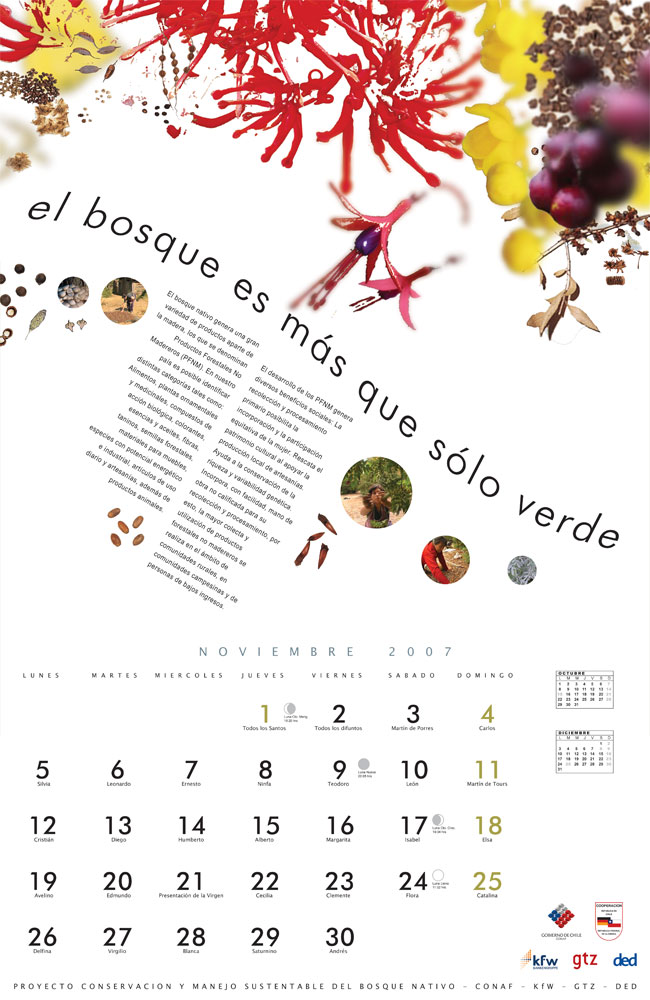 Imagen de Noviembre del calendario, se muestra diferentes productos no madereros y un texto alusivo a esa condición.